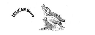 PELICAN BRAND logo