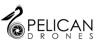 PELICAN DRONES logo