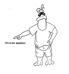 PELICAN MURPHY logo