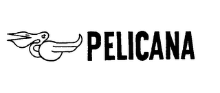 PELICANA logo