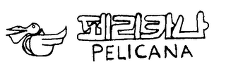 PELICANA logo