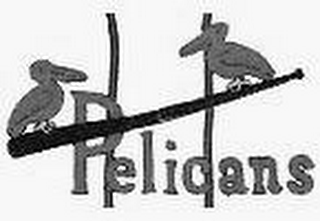 PELICANS logo