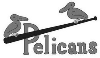 PELICANS logo