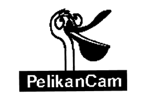 PELIKANCAM logo