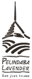 PELINDABA LAVENDER SAN JUAN ISLAND logo