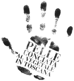 PELLE CONCIATA AL VEGETALE IN TOSCANA logo