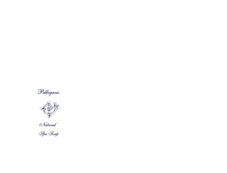 PELLEGANO NATURAL SPA logo