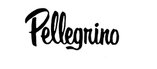 PELLEGRINO logo