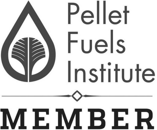 PELLET FUELS INSTITUTE MEMBER logo