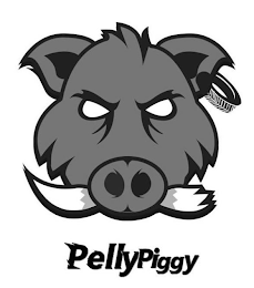 PELLYPIGGY logo
