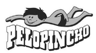 PELOPINCHO logo