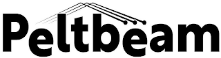 PELTBEAM logo