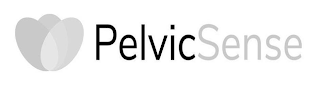 PELVICSENSE logo