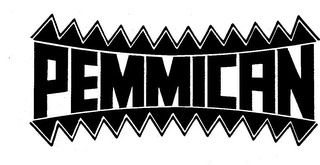 PEMMICAN logo