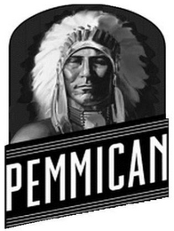 PEMMICAN logo