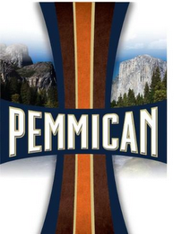 PEMMICAN logo