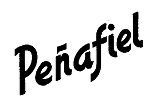 PENAFIEL logo