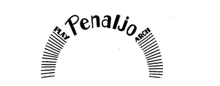PENALJO PLAY ARCH logo