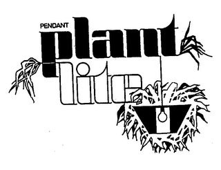 PENDANT PLANT LITE logo
