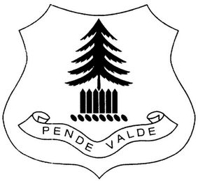 PENDE VALDE logo