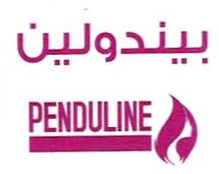 PENDULINE logo