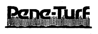 PENE-TURF logo