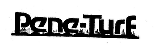 PENE-TURF logo