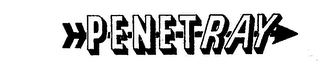 PENETRAY logo