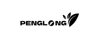 PENGLONG logo