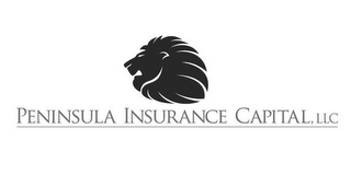 PENINSULA INSURANCE CAPITAL, LLC logo