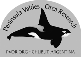 PENINSULA VALDES ORCA RESEARCH PVOR.ORG · CHUBUT, ARGENTINA logo