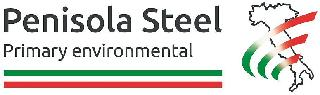 PENISOLA STEEL PRIMARY ENVIRONMENTAL logo