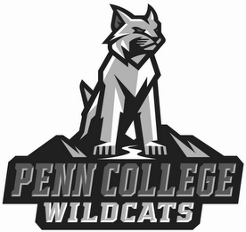PENN COLLEGE WILDCATS logo