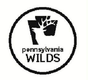 PENNSYLVANIA WILDS logo