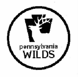 PENNSYLVANIA WILDS logo