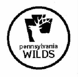PENNSYLVANIA WILDS logo