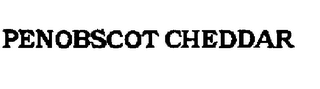PENOBSCOT CHEDDAR logo