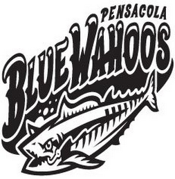 PENSACOLA BLUE WAHOOS logo