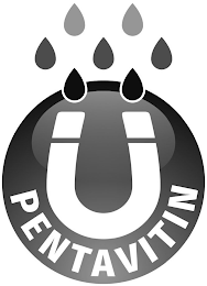 PENTAVITIN logo