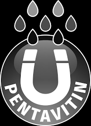 PENTAVITIN logo