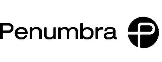 PENUMBRA P logo