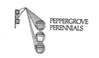 PEPPERGROVE PERENNIALS logo