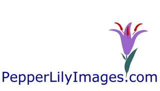 PEPPERLILYIMAGES.COM logo