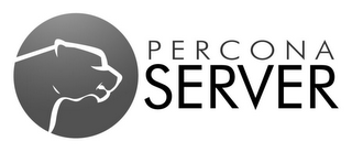 PERCONA SERVER logo