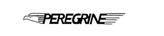 PEREGRINE logo