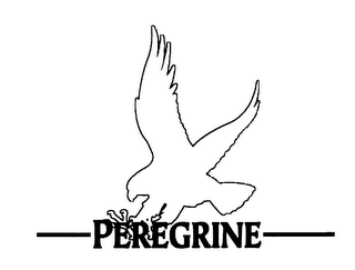PEREGRINE logo