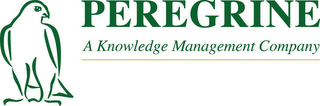 PEREGRINE A KNOWLEDGE MANAGEMENT COMPANY logo