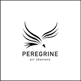 PEREGRINE AIR CHARTERS logo