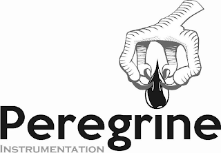 PEREGRINE INSTRUMENTATION logo