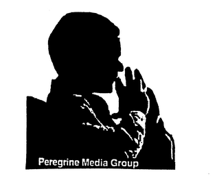 PEREGRINE MEDIA GROUP logo